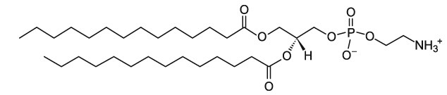 DMPE-艾偉拓（上海）醫(yī)藥科技有限公司